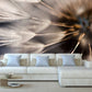 Dandelion wall art Floral wallpaper Peel and stick wallpaper Photo wallpaper Textured wallpaper Botanical removable wallpaper dark wallpaper